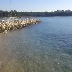 Desa Zadar