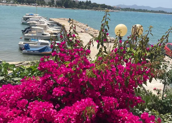 Desa Lejlighed Zadar