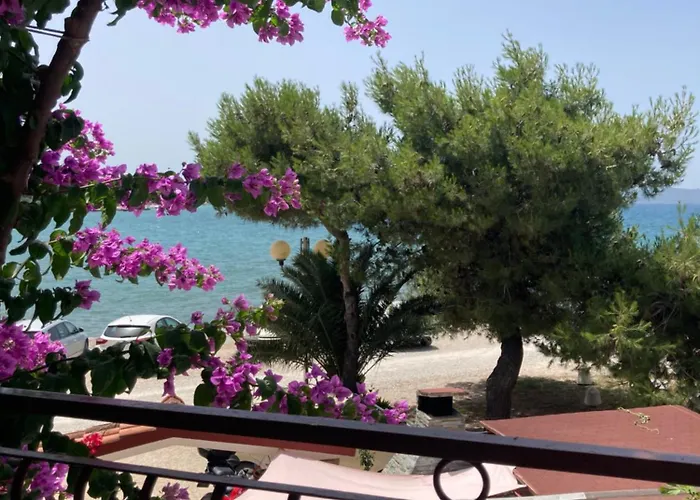 Lejlighed Desa Zadar